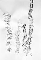 O.T. | 2017 | Zeichnung | Bleistift Papier | 30x21cm